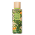 Melon Drench by Victoria's Secret 250ml Fragrance Mist - Perfume NZ is the leading wholesale distributor of brand name perfumes and fragrances in New Zealand.